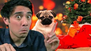 Funny Zach King Christmas Magic Tricks Collection - Best Awesome Magic Vines Ever