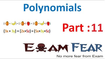 Maths Polynomials part 11 (Factorization of polynomial ) CBSE class 9 Mathematics IX