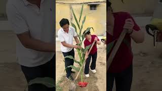 Information 830491445 Guide