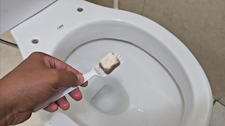 MORRIA E NÃO SABIA: É só jogar no vaso e você nunca mais terá que lava-lo
