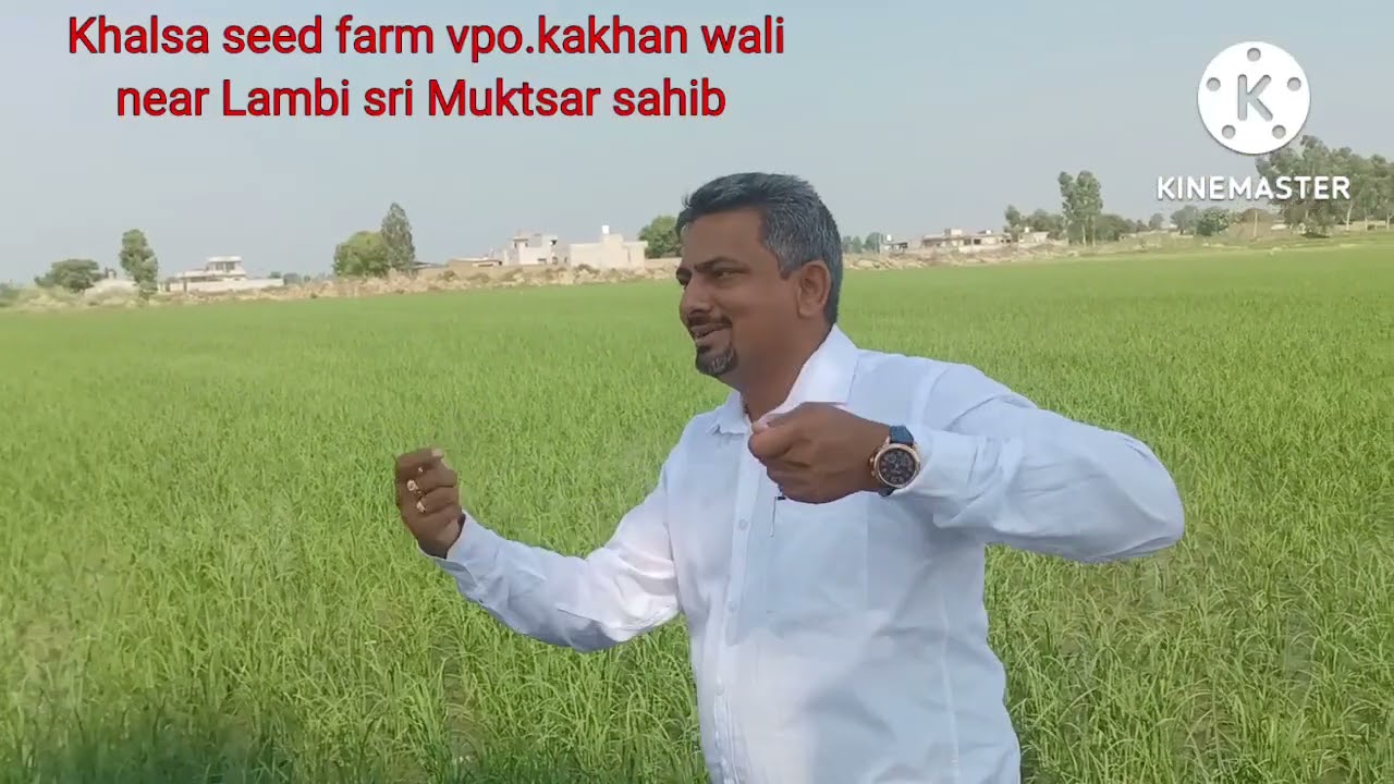 BASMATI EXPORT DEVELOPMENT FOUNDATION (BEDF) Modipurm Head Dr Ritesh