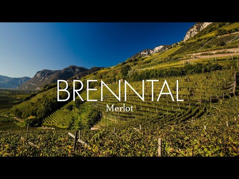 BRENNTAL - Merlot