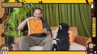 [約克國際幼稚園] Charlie的學習之旅：小朋友的DIY比任何名牌更好