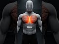 Why Your Chest Has No Separation (Fix Inner Chest Detail)