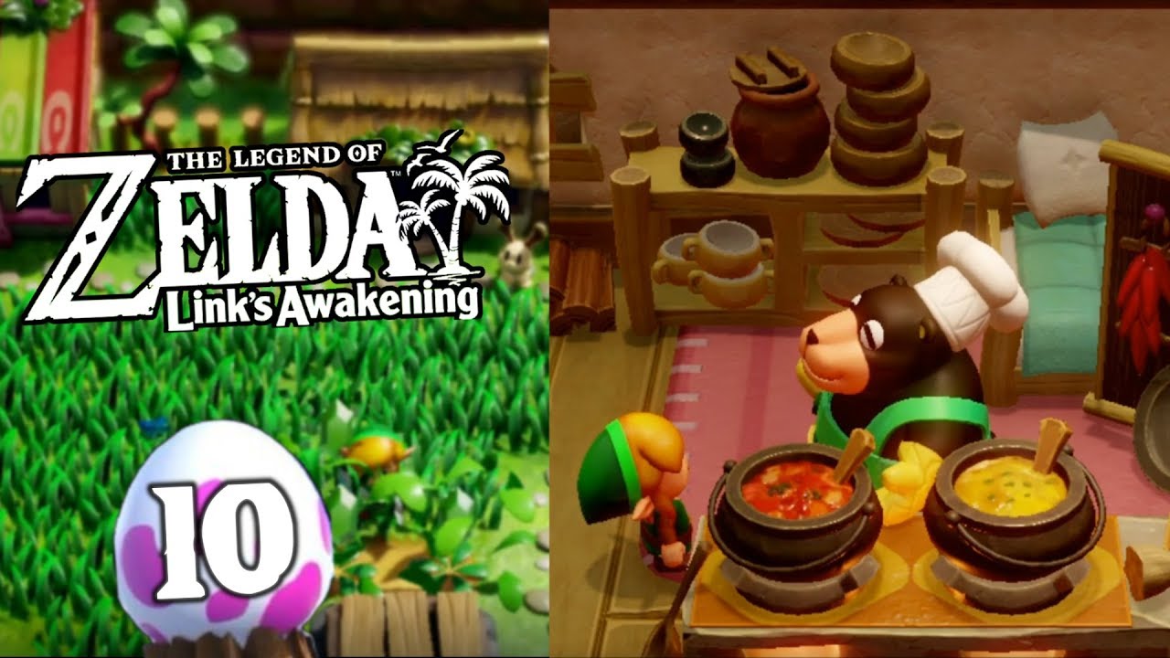 Im Zoodorf 🔪 The Legend of Zelda Link's Awakening Part 10 YouTube