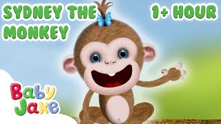 @BabyJakeofficial  - Fun Adventures with Sydney the Monkey! 🐵 | Full Episodes | Yacki Yacki Yoggi