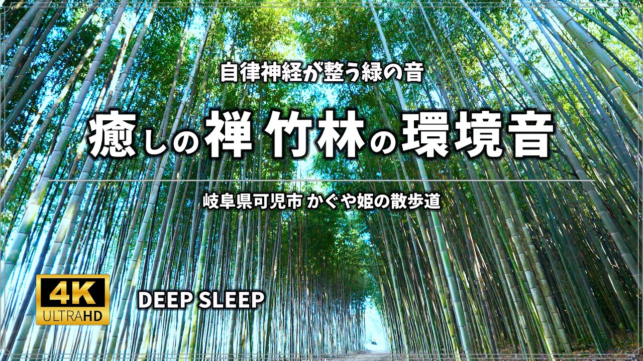 【睡眠用BGM 3時間】心の毒出し「癒しの禅」｜かぐや姫の散歩道、不安を消す竹林の環境音 ASMR｜Nature Sounds