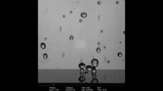Water Droplets - Varanasi Solutions Project Part 1