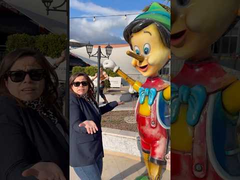 Cute ππππΈπ‘π¬π