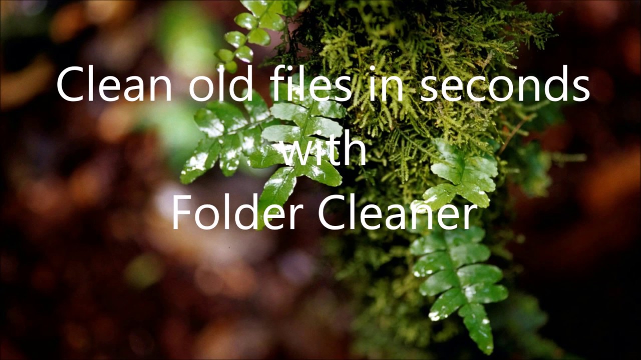 Clean old files of multiple folders in seconds with Folder Cleaner for