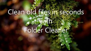Clean old files of multiple folders in seconds with Folder Cleaner for Windows 10 screenshot 4