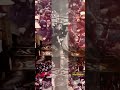 ブラックエンペラー / 当時の写真 #shorts