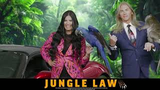 Car Accident & Personal Injury Lawyers | Kansas City & St. Louis, MO | Jungle Law