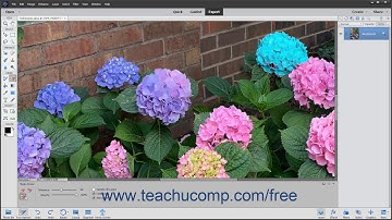 Photoshop Elements 2020 Tutorial The Magic Eraser Tool Adobe Training