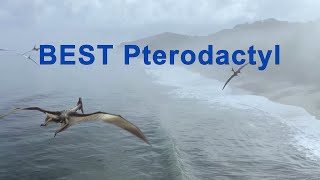 #1 BEST Pterodactyl Channel on YouTube - GET THE TRUTH!