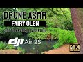 Drone ASMR Fairy Glen, Sefton Park, Liverpool DJI Air 2S 4K