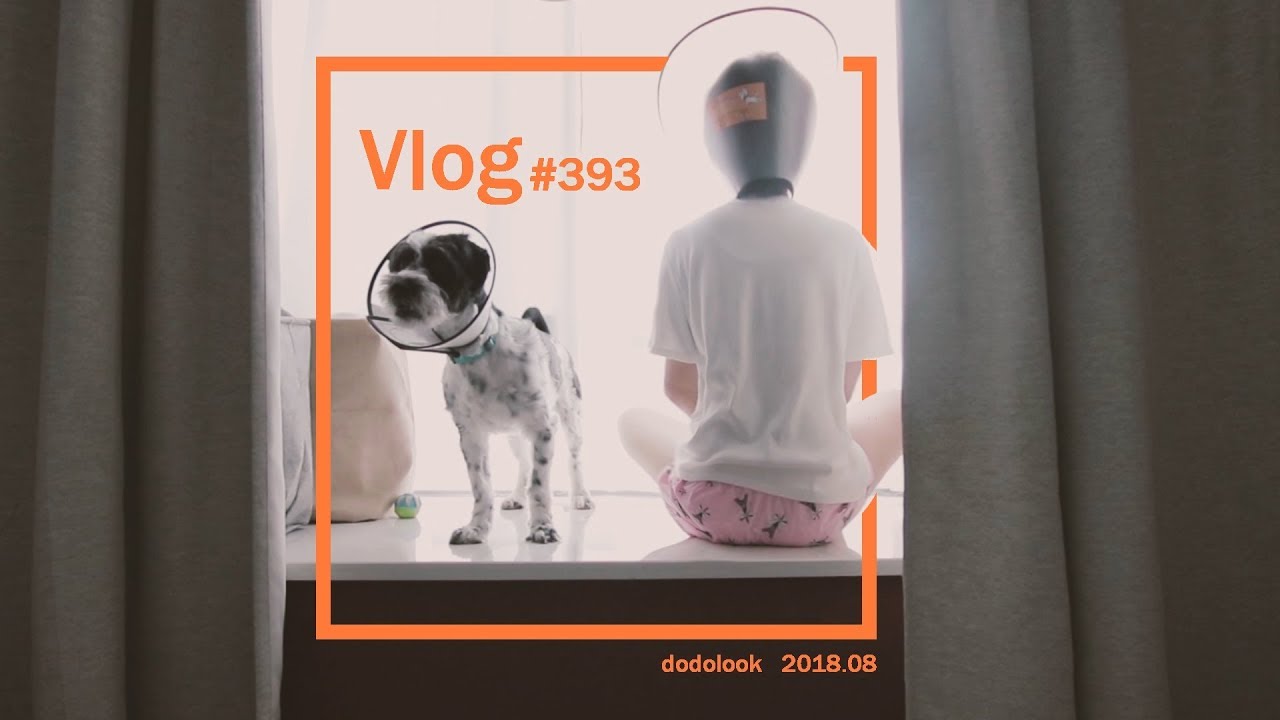 vlog393 羞耻Play! 陪我家狗戴了一天羞耻圈! - YouTube
