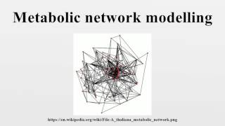 Metabolic network modelling