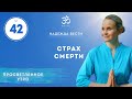 ПРОСВЕТЛЕНИЕ. СТРАХ СМЕРТИ. Выпуск 42