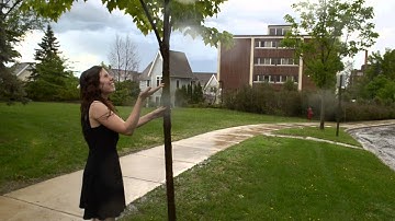 Hammock - Tape Recorder (Departure Songs Film Competition)