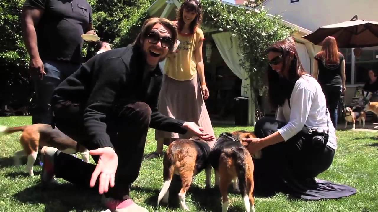 Honey Badger's Randall: The Beagle Freedom Project: San Diego 10 Reunion