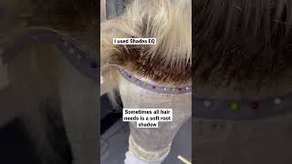 Hair system - Dimension and shadow root with Shades EQ Gloss, repaired with K18.