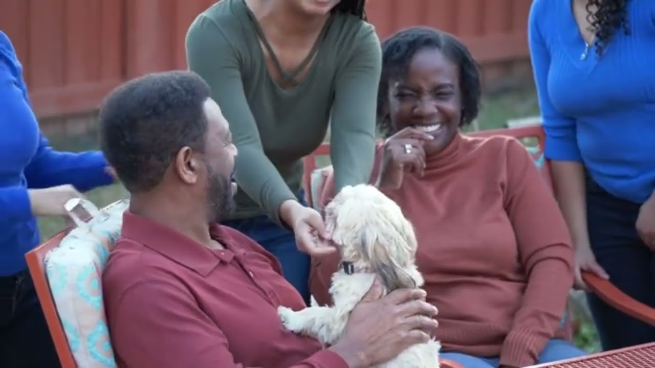 The Deadliest Wet Dog Food Brands EXPOSED (Pet Owners Be Careful)