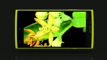 LEAGOO Elite 5 Video MTK6735 5.5 Inch IPS HD Screen 4G LTE Smartphone