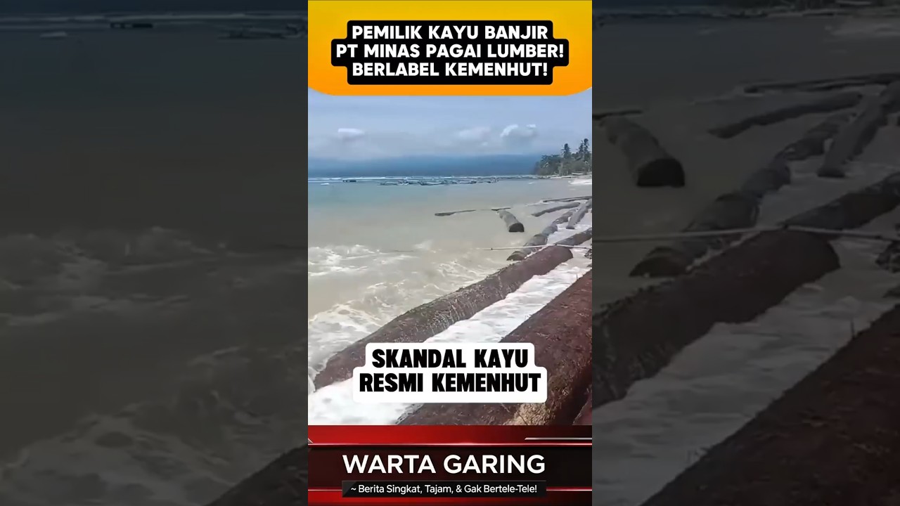 Kayu banjir Lampung: Milik PT Minas Pagai Lumber. Punya izin Kemenhut 78.000 Ha di Mentawai (SVLK).