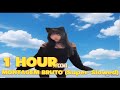 1 HOUR MONTAGEM BRUTO Super Slowed REVERB ZXLXN Atic 74blade 