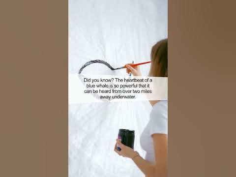 Shocking Truth About Blue Whales' Heartbeat | Fact #shorts - YouTube