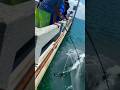 mancing tuna #fishing #fishingtuna