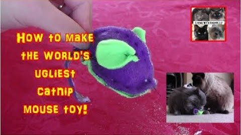 DIY cat toy tutorial! How to make the worlds ugliest catnip mouse toy! Living with Ragdolls