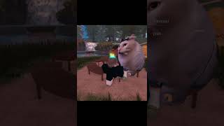 Prank ngomong bahasa inggris di Roblox #roblox  #robloxedit  #robloxindonesia #robloxprank