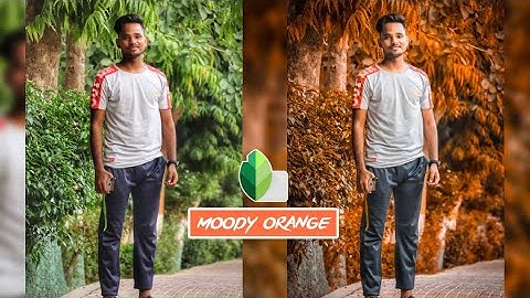 New Snapseed Photo Editing Trick | Snapseed Background color change 2020 🔥