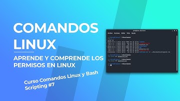 🚪 Hoy Aprenderás cómo Funcionan los Permisos en Linux | Curso Comandos Linux 2021 #7