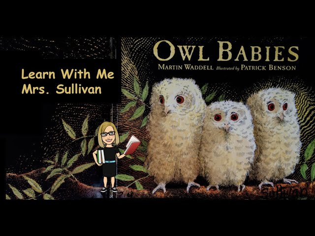 37 Owl Babies 音声絵本 Owl Babies - YouTube
