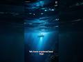 5 underwater discoveries that shocked the world. Number 1 shouldn’t be possible