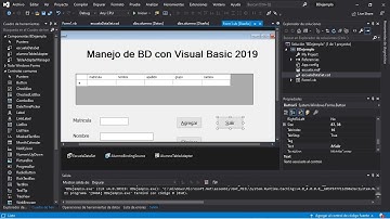 Base de datos con Visual Basic 2019