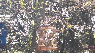 WP 20140301 005