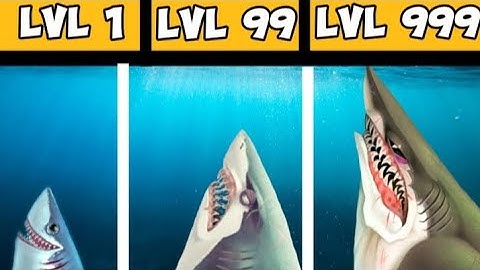 Evolving sharks until they destroy Mankind.. | Hungry Shark World | #Comedy #Video
