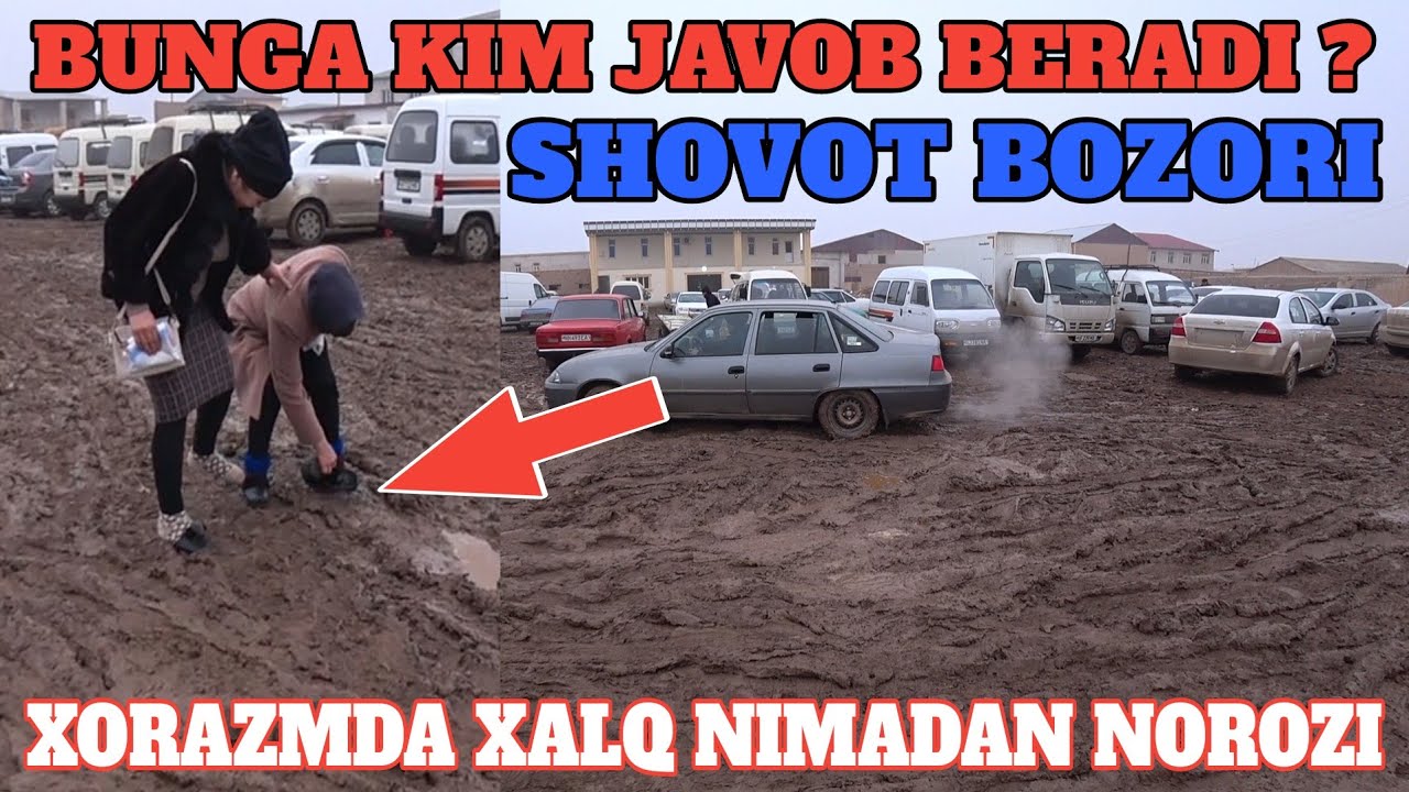 Бозор стайенкасини корган европа хайрата