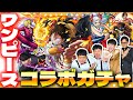 【モンスト】海賊王に俺はなる(ドン)!!ワンピースコラボガチャ!!!