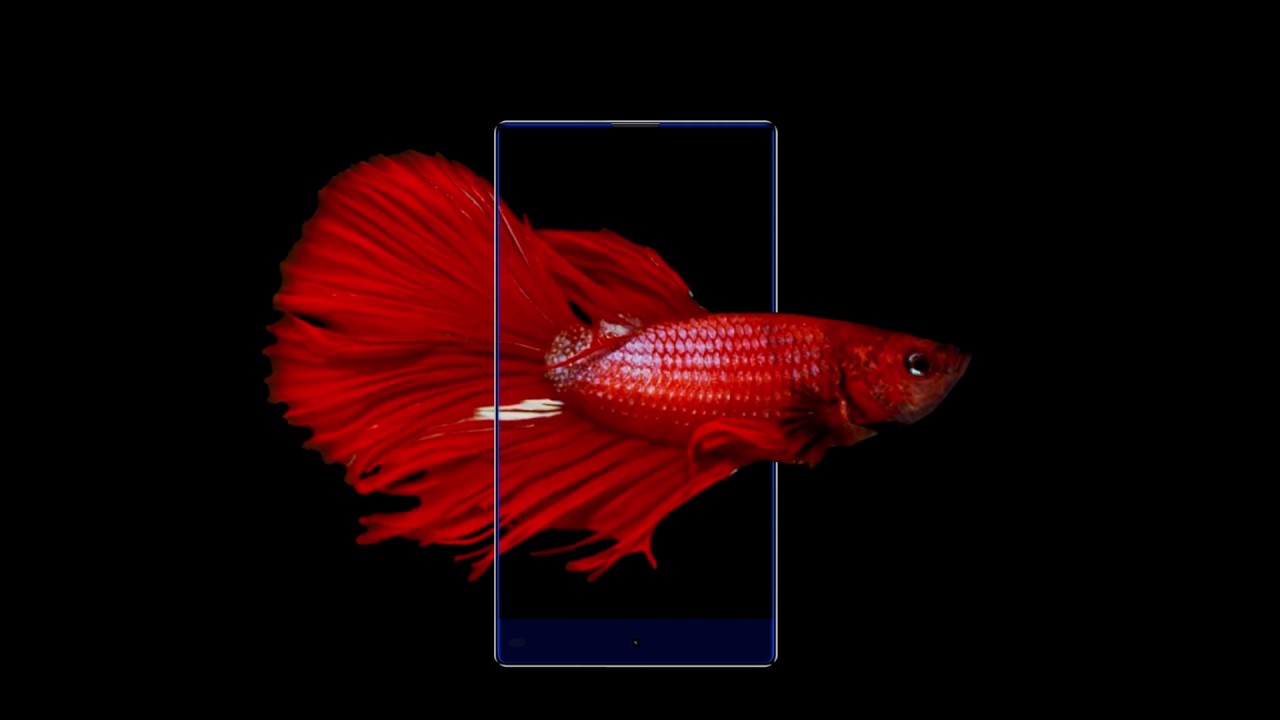 vkworld Mix Plus, Stunning Full Screen