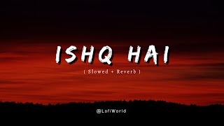 Ishq Hai (Slowed + Reverb) | Anurag Saikia, Varun Jain | Mismatched Season 3 | Lofi World