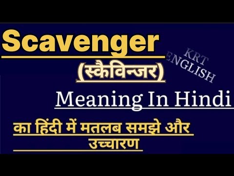 Scavenger meaning in hindi || Scavenger ka matlab kya hota hai || word