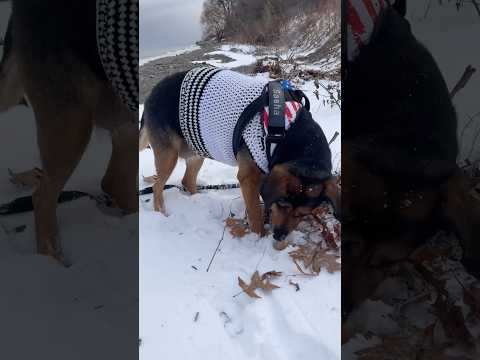 اون واقعا تو یه ماموریته