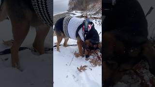 Shes Really On A Mission