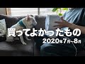 買って良かったもの2020年7月〜8月【夏の暑さ対策、臭い対策など】