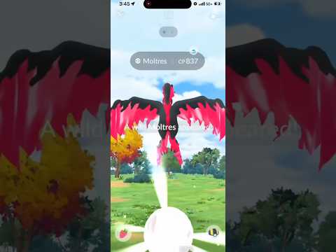 I Got a Galarian Moltres ENCOUNTER ON STREAM, But Did It Catch?! #shorts #pokemon